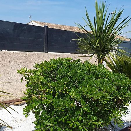 La Villa De L'Olivier Piscine Privee Et Parking カルカソンヌ エクステリア 写真