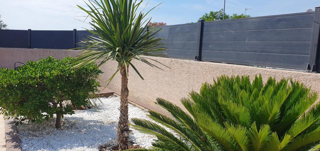 La Villa De L'Olivier Piscine Privee Et Parking カルカソンヌ エクステリア 写真