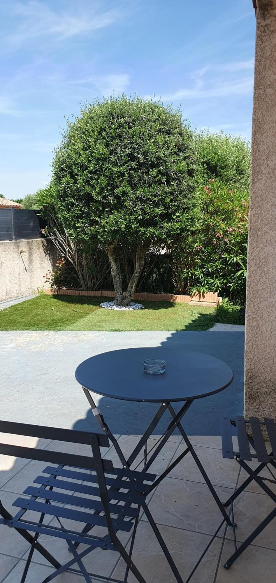 La Villa De L'Olivier Piscine Privee Et Parking カルカソンヌ エクステリア 写真